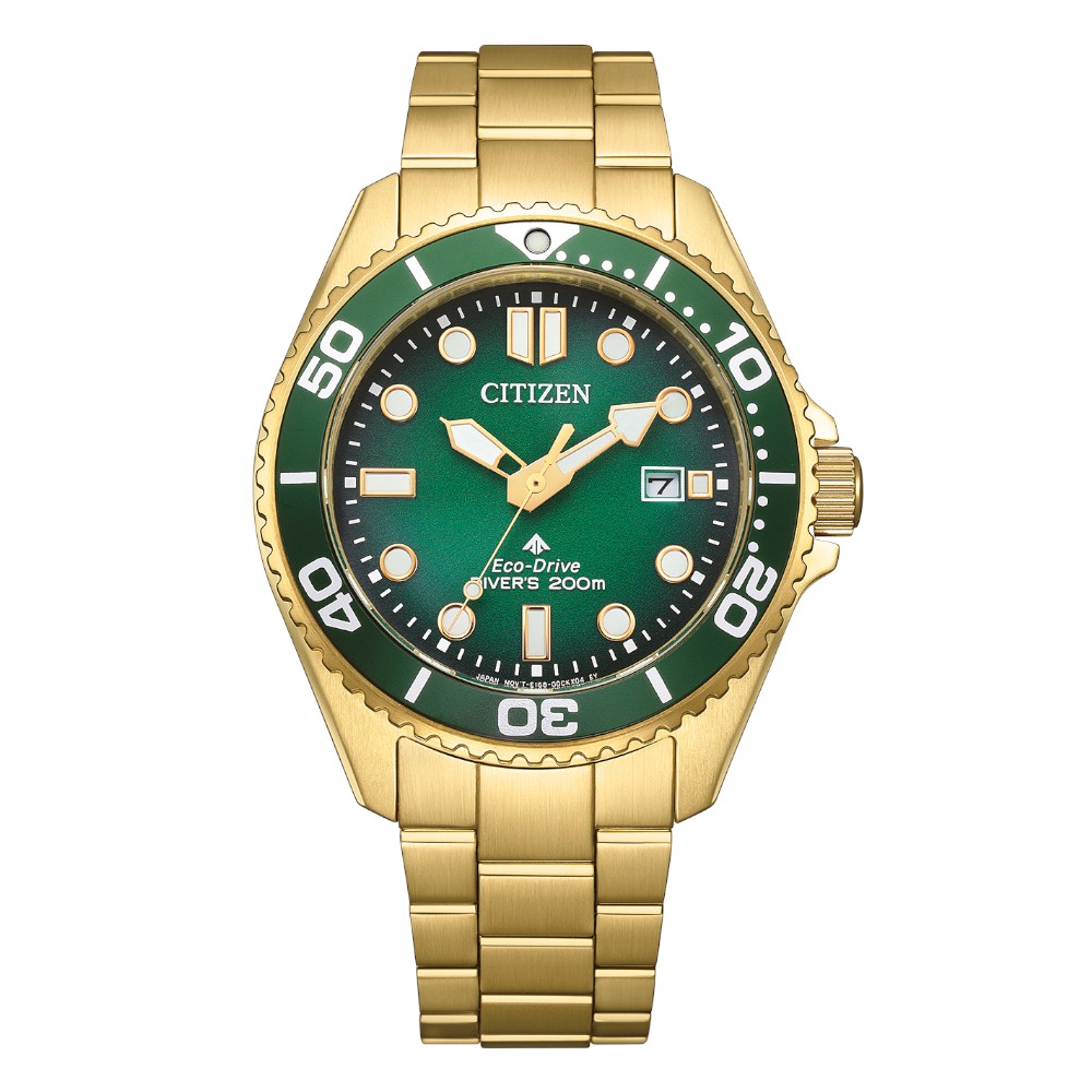 Đồng Hồ Nam Chính Hãng CITIZEN Promaster BN0262-59W